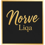 Norve Liqa - Accueil